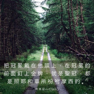 Picture 03 - 利 未 記 8:9 CUVT - 把 冠 冕 戴 在 他 頭 上 ， 在 冠 冕 - Bible Verse Picture
