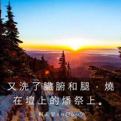 Picture 03 - 利 未 記 9:14 CUVT - 又 洗 了 臟 腑 和 腿 ， 燒 在 壇 上 - Bible Verse Picture