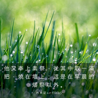Picture 03 - 利 未 記 9:17 CUVT - 他 又 奉 上 素 祭 ， 從 其 中 取 一 - Bible Verse Picture