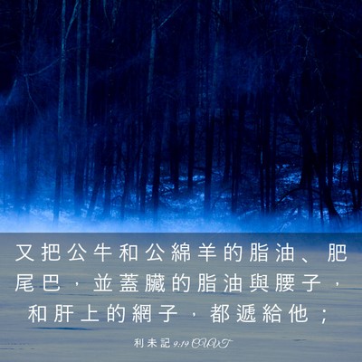Picture 03 - 利 未 記 9:19 CUVT - 又 把 公 牛 和 公 綿 羊 的 脂 油 、 - Bible Verse Picture