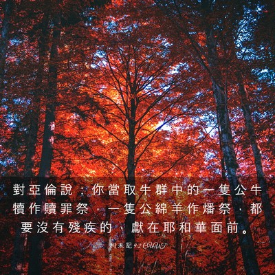 Picture 03 - 利 未 記 9:2 CUVT - 對 亞 倫 說 ： 你 當 取 牛 群 中 的 - Bible Verse Picture