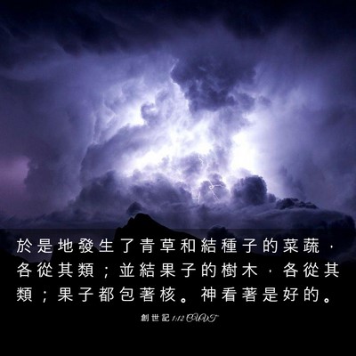 Picture 03 - 創 世 記 1:12 CUVT - 於 是 地 發 生 了 青 草 和 結 種 子 - Bible Verse Picture
