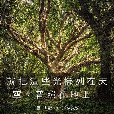 Picture 03 - 創 世 記 1:17 CUVT - 就 把 這 些 光 擺 列 在 天 空 ， 普 - Bible Verse Picture