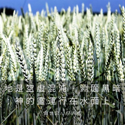 Picture 03 - 創 世 記 1:2 CUVT - 地 是 空 虛 混 沌 ， 淵 面 黑 暗 ； - Bible Verse Picture
