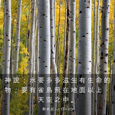 Picture 03 - 創 世 記 1:20 CUVT - 神 說 ： 水 要 多 多 滋 生 有 生 命 - Bible Verse Picture