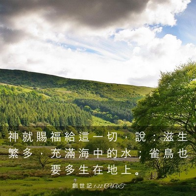 Picture 03 - 創 世 記 1:22 CUVT - 神 就 賜 福 給 這 一 切 ， 說 ： 滋 - Bible Verse Picture