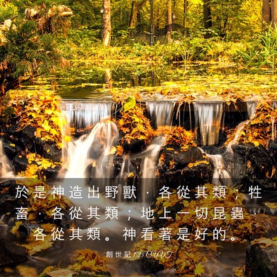 Picture 03 - 創 世 記 1:25 CUVT - 於 是 神 造 出 野 獸 ， 各 從 其 類 - Bible Verse Picture