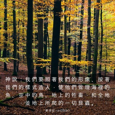 Picture 03 - 創 世 記 1:26 CUVT - 神 說 ： 我 們 要 照 著 我 們 的 形 - Bible Verse Picture