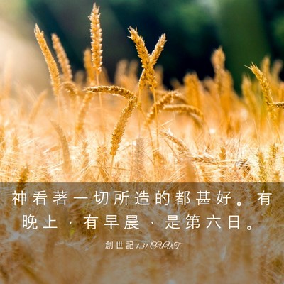 Picture 03 - 創 世 記 1:31 CUVT - 神 看 著 一 切 所 造 的 都 甚 好 。 - Bible Verse Picture