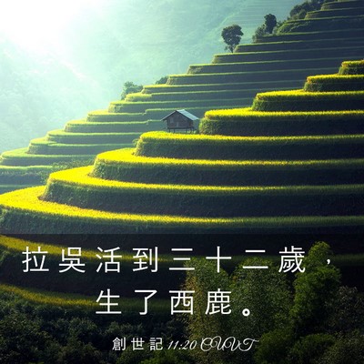 Picture 03 - 創 世 記 11:20 CUVT - 拉 吳 活 到 三 十 二 歲 ， 生 了 西 - Bible Verse Picture