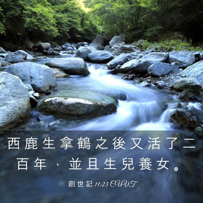Picture 03 - 創 世 記 11:23 CUVT - 西 鹿 生 拿 鶴 之 後 又 活 了 二 百 - Bible Verse Picture