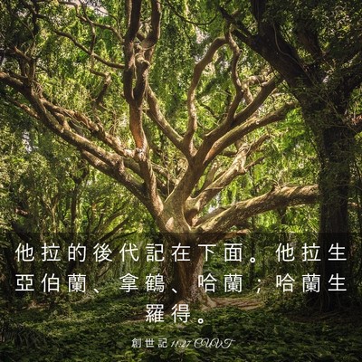 Picture 03 - 創 世 記 11:27 CUVT - 他 拉 的 後 代 記 在 下 面 。 他 拉 - Bible Verse Picture