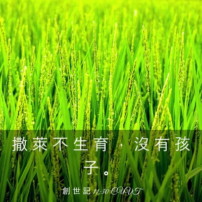 Picture 03 - 創 世 記 11:30 CUVT - 撒 萊 不 生 育 ， 沒 有 孩 子 - Bible Verse Picture
