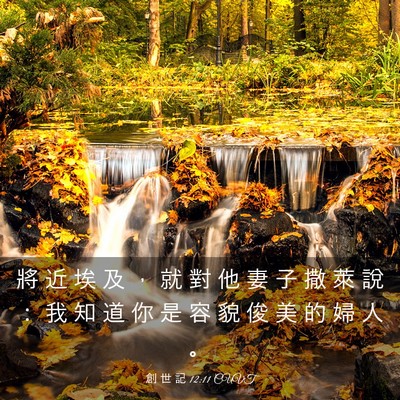 Picture 03 - 創 世 記 12:11 CUVT - 將 近 埃 及 ， 就 對 他 妻 子 撒 萊 - Bible Verse Picture