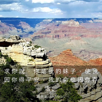 Picture 03 - 創 世 記 12:13 CUVT - 求 你 說 ， 你 是 我 的 妹 子 ， 使 - Bible Verse Picture
