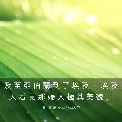 Picture 03 - 創 世 記 12:14 CUVT - 及 至 亞 伯 蘭 到 了 埃 及 ， 埃 及 - Bible Verse Picture