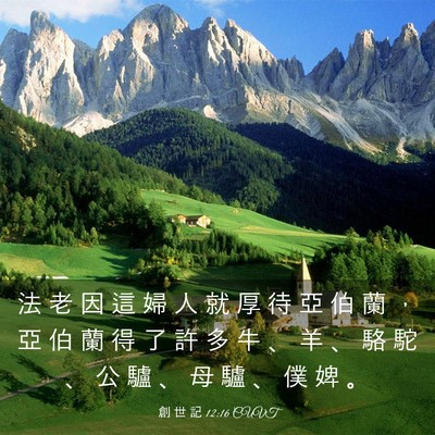Picture 03 - 創 世 記 12:16 CUVT - 法 老 因 這 婦 人 就 厚 待 亞 伯 蘭 - Bible Verse Picture