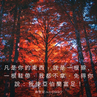 Picture 03 - 創 世 記 14:23 CUVT - 凡 是 你 的 東 西 ， 就 是 一 根 線 - Bible Verse Picture