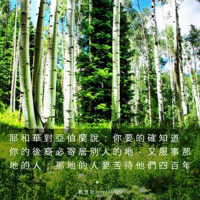 Picture 03 - 創 世 記 15:13 CUVT - 耶 和 華 對 亞 伯 蘭 說 ： 你 要 的 - Bible Verse Picture