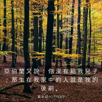 Picture 03 - 創 世 記 15:3 CUVT - 亞 伯 蘭 又 說 ： 你 沒 有 給 我 兒 - Bible Verse Picture
