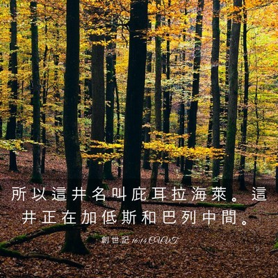 Picture 03 - 創 世 記 16:14 CUVT - 所 以 這 井 名 叫 庇 耳 拉 海 萊 。 - Bible Verse Picture