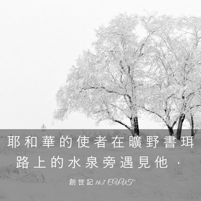 Picture 03 - 創 世 記 16:7 CUVT - 耶 和 華 的 使 者 在 曠 野 書 珥 路 - Bible Verse Picture