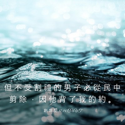 Picture 03 - 創 世 記 17:14 CUVT - 但 不 受 割 禮 的 男 子 必 從 民 中 - Bible Verse Picture