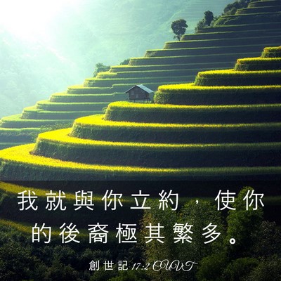 Picture 03 - 創 世 記 17:2 CUVT - 我 就 與 你 立 約 ， 使 你 的 後 裔 - Bible Verse Picture