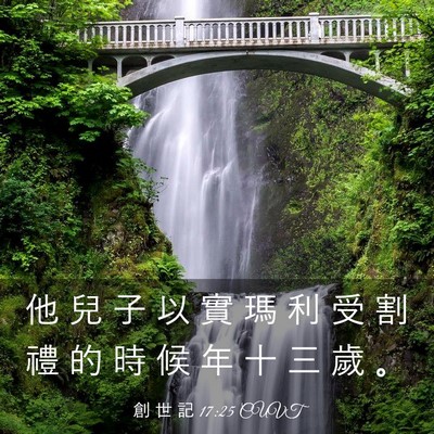 Picture 03 - 創 世 記 17:25 CUVT - 他 兒 子 以 實 瑪 利 受 割 禮 的 時 - Bible Verse Picture