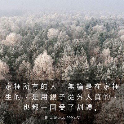 Picture 03 - 創 世 記 17:27 CUVT - 家 裡 所 有 的 人 ， 無 論 是 在 家 - Bible Verse Picture