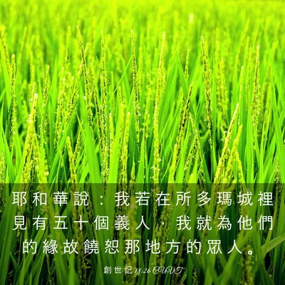 Picture 03 - 創 世 記 18:26 CUVT - 耶 和 華 說 ： 我 若 在 所 多 瑪 城 - Bible Verse Picture