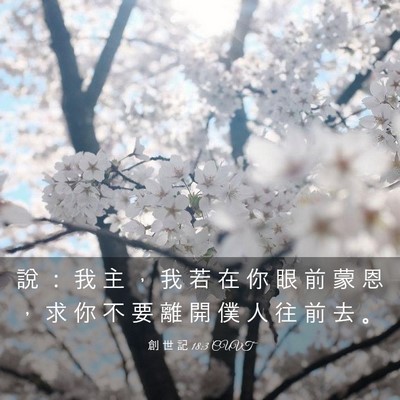 Picture 03 - 創 世 記 18:3 CUVT - 說 ： 我 主 ， 我 若 在 你 眼 前 蒙 - Bible Verse Picture