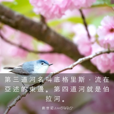 Picture 03 - 創 世 記 2:14 CUVT - 第 三 道 河 名 叫 底 格 里 斯 ， 流 - Bible Verse Picture