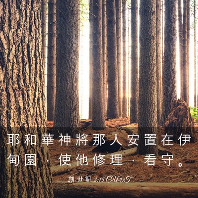 Picture 03 - 創 世 記 2:15 CUVT - 耶 和 華 神 將 那 人 安 置 在 伊 甸 - Bible Verse Picture