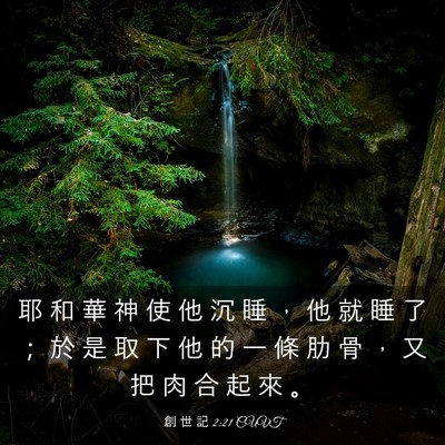 Picture 03 - 創 世 記 2:21 CUVT - 耶 和 華 神 使 他 沉 睡 ， 他 就 睡 - Bible Verse Picture