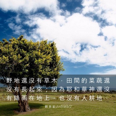 Picture 03 - 創 世 記 2:5 CUVT - 野 地 還 沒 有 草 木 ， 田 間 的 菜 - Bible Verse Picture