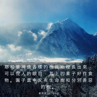 Picture 03 - 創 世 記 2:9 CUVT - 耶 和 華 神 使 各 樣 的 樹 從 地 裡 - Bible Verse Picture