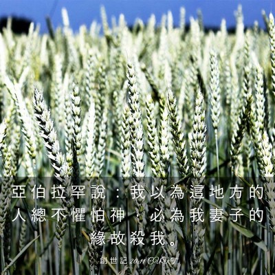 Picture 03 - 創 世 記 20:11 CUVT - 亞 伯 拉 罕 說 ： 我 以 為 這 地 方 - Bible Verse Picture
