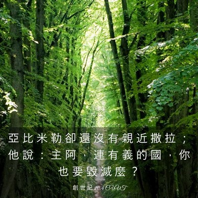 Picture 03 - 創 世 記 20:4 CUVT - 亞 比 米 勒 卻 還 沒 有 親 近 撒 拉 - Bible Verse Picture