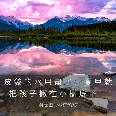 Picture 03 - 創 世 記 21:15 CUVT - 皮 袋 的 水 用 盡 了 ， 夏 甲 就 把 - Bible Verse Picture