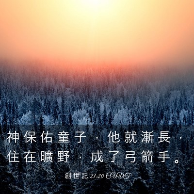 Picture 03 - 創 世 記 21:20 CUVT - 神 保 佑 童 子 ， 他 就 漸 長 ， 住 - Bible Verse Picture
