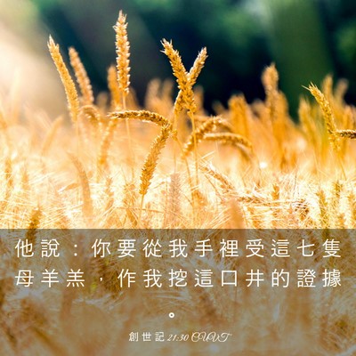 Picture 03 - 創 世 記 21:30 CUVT - 他 說 ： 你 要 從 我 手 裡 受 這 七 - Bible Verse Picture