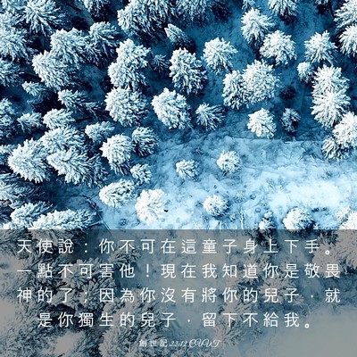 Picture 03 - 創 世 記 22:12 CUVT - 天 使 說 ： 你 不 可 在 這 童 子 身 - Bible Verse Picture
