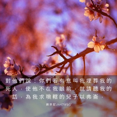 Picture 03 - 創 世 記 23:8 CUVT - 對 他 們 說 ： 你 們 若 有 意 叫 我 - Bible Verse Picture