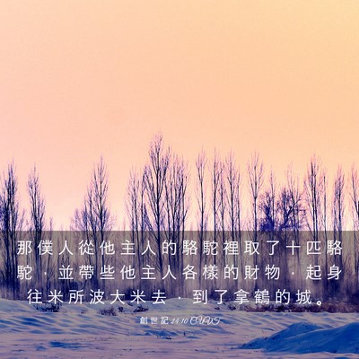 Picture 03 - 創 世 記 24:10 CUVT - 那 僕 人 從 他 主 人 的 駱 駝 裡 取 - Bible Verse Picture