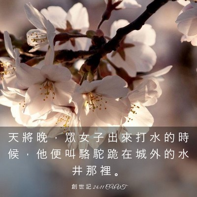 Picture 03 - 創 世 記 24:11 CUVT - 天 將 晚 ， 眾 女 子 出 來 打 水 的 - Bible Verse Picture