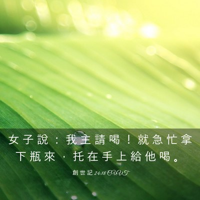 Picture 03 - 創 世 記 24:18 CUVT - 女 子 說 ： 我 主 請 喝 ！ 就 急 忙 - Bible Verse Picture