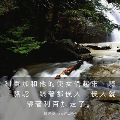 Picture 03 - 創 世 記 24:61 CUVT - 利 百 加 和 他 的 使 女 們 起 來 ， - Bible Verse Picture