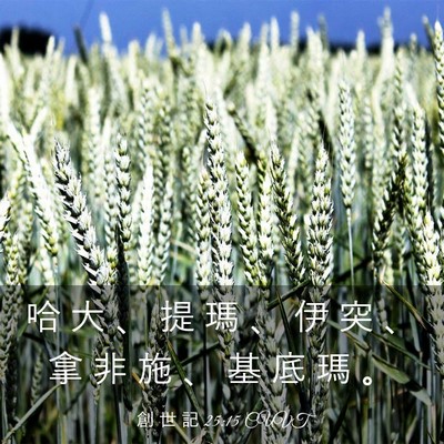Picture 03 - 創 世 記 25:15 CUVT - 哈 大 、 提 瑪 、 伊 突 、 拿 非 施 - Bible Verse Picture