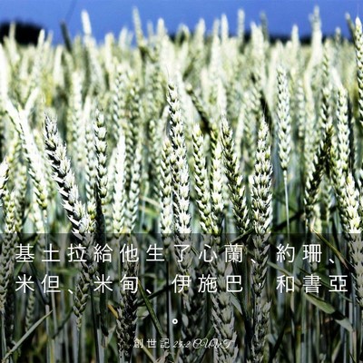 Picture 03 - 創 世 記 25:2 CUVT - 基 土 拉 給 他 生 了 心 蘭 、 約 珊 - Bible Verse Picture